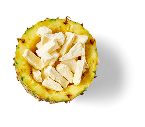pineapple_bowl_resized pineapple bowl